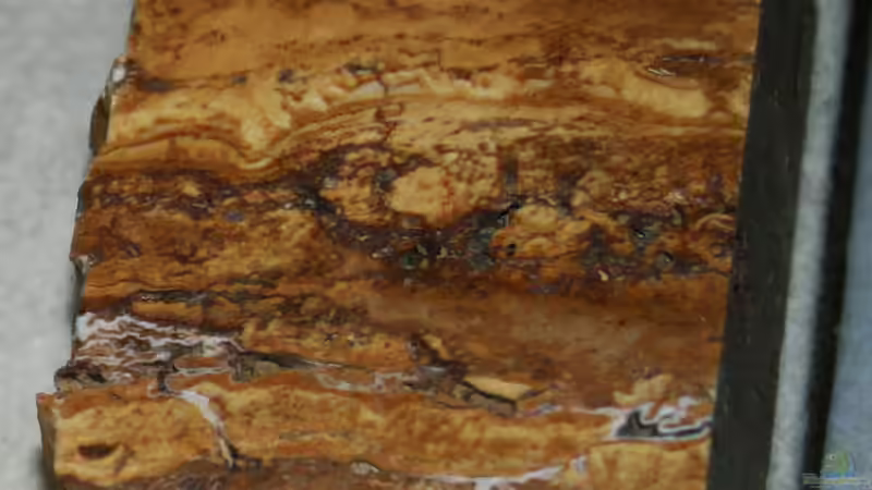 Zeitlose Gestaltungsmöglichkeiten: Travertin am Gartenteich