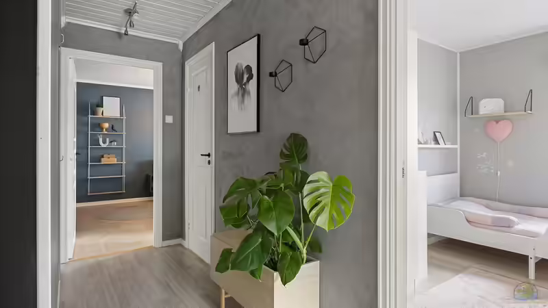 Zimmerpflanzen im Winter