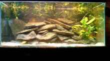 Aquarium Becken 1027