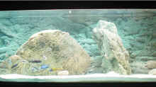Aquarium Hauptansicht von Becken 2583