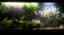 Aquarium Mark`s Rio240