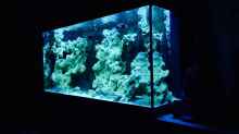 Aquarium Becken 29622