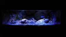 Aquarium Becken 31627