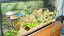 Aquarium Becken 424