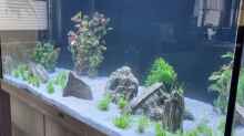 Juwel Aquarium RIO 180 am 04.05.2022