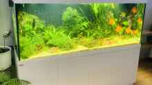 Aquarium 1000L Amazonas