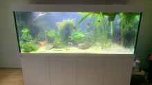 Aquarium 1000L Amazonas