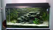 Aquarium Becken 810