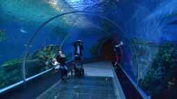 Urlaubstipp: Aquarium Blue Planet in Kopenhagen