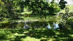 Ausflugstipp: Der Botanische Garten München-Nymphenburg