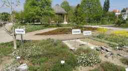 Ausflugstipp: Der Botanische Garten München-Nymphenburg