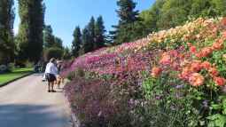 Die Insel Mainau: Ein Muss für Gartenliebhaber