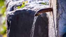 Einen Brunnen im Garten selber bohren: So gelingt der Zugang zum eigenen Wasser