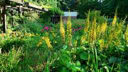 Pergola: Wohnraum im Garten