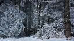 Wetterphasen im Jahreslauf – Von Hochwinter bis Altweibersommer