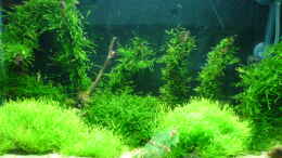 aquarium-von-lippe-becken-10012_