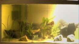 aquarium-von-der-bastian-becken-10070_