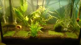 aquarium-von-paul225-becken-10110_