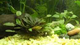 aquarium-von-marco-k--becken-10120_