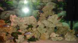 aquarium-von-thomas-winterholler-becken-10244_