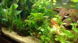 aquarium-von-marvao-becken-10258_