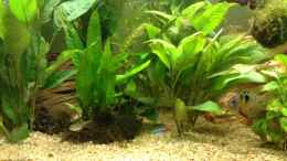 aquarium-von-marvao-becken-10258_