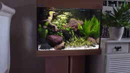 aquarium-von-harry-van-scherpenzeel-becken-1032_