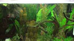 aquarium-von-oxmox78-becken-10375_