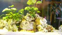 aquarium-von-aurel69-becken-10401_