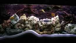 aquarium-von-gottfried-lechner-becken-10624_