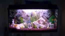 aquarium-von-alexander-bache-becken-10694_