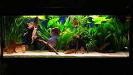 aquarium-von-michael-kronstein-becken-10714_