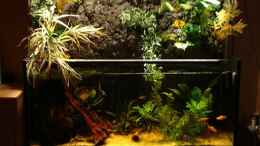 aquarium-von-marcfassbender-becken-10720_Panorama-aquarium