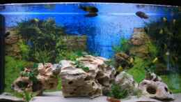 aquarium-von-turgut-sen-becken-10726_Gesamtansicht