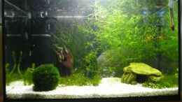 aquarium-von-crazy-t-becken-10789_