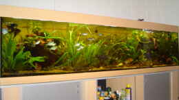 aquarium-von-bulldog1112-becken-1_