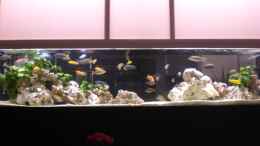 aquarium-von-h-p-m-becken-10811_voll entspannt