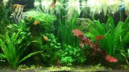 aquarium-von-sharky-becken-10904_