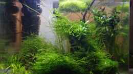 aquarium-von-stoner-fantas-world_