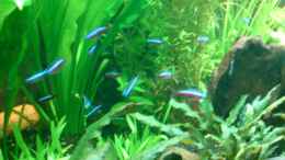 aquarium-von-oliver-baecker-becken-11043_