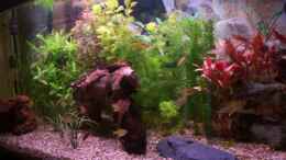 aquarium-von-moritz-tiegs-becken-11121_