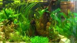 aquarium-von-holger-baake-becken-11159_