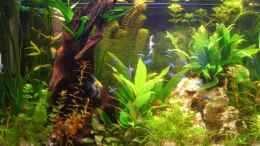 aquarium-von-holger-baake-becken-11159_