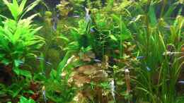 aquarium-von-holger-baake-becken-11159_