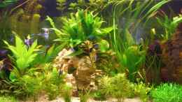 aquarium-von-holger-baake-becken-11159_