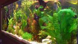 aquarium-von-holger-baake-becken-11159_