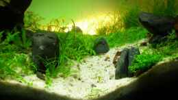 aquarium-von-pascal-kapphan-becken-11178_