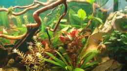 aquarium-von-jason-becken-11189_