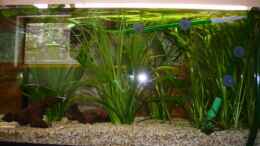 aquarium-von-marco-mueller-becken-1122_