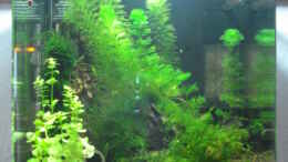 aquarium-von-andreas-deutschmann-becken-11276_